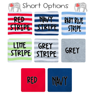 Boys Shirt and Short Set